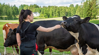 Valtra Midsummer